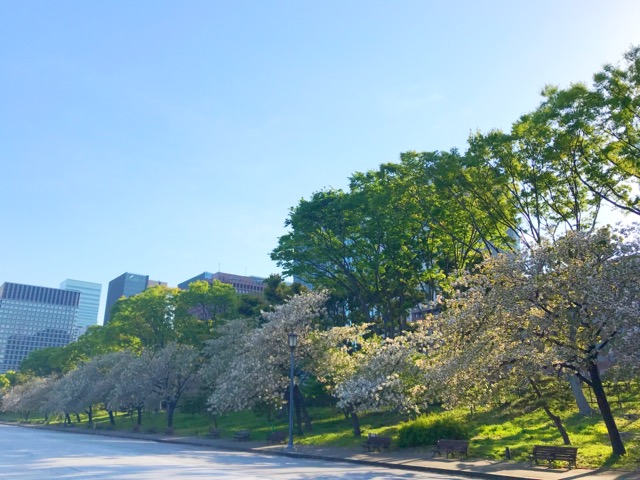 A2629BA6-690B-4FE0-8412-B71F81ABF750