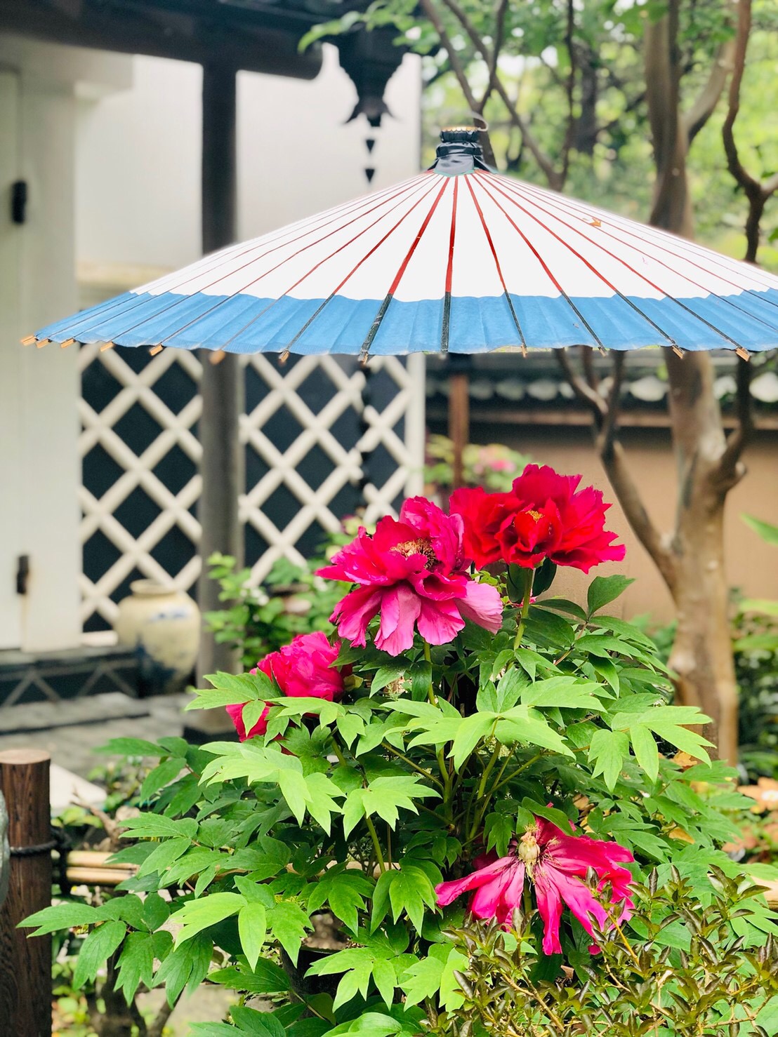 F0E11E95-8C40-4158-B22E-DCFD3C2861FE