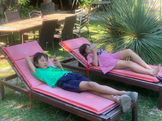 01C194B5-4183-43CF-AC6C-860A09758FA4