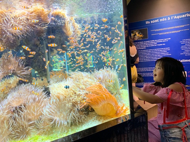 6247A451-9EDF-4FF6-97A5-F06EEAD4AA89