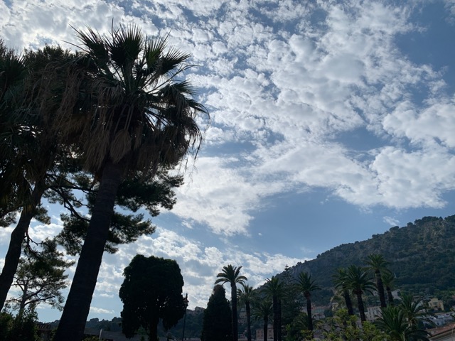 CC424D3D-F856-49A0-92F6-C0A68C36CEFA