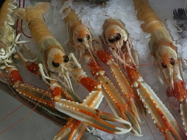 意地悪なランゴスチン♡